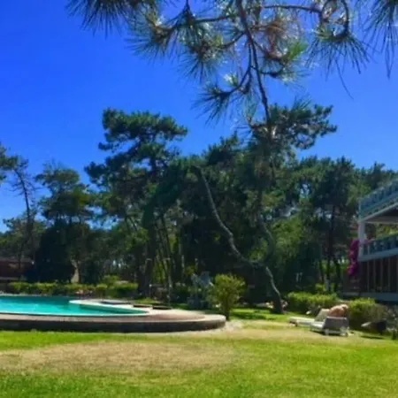 Sandra's House منتزه العطل *